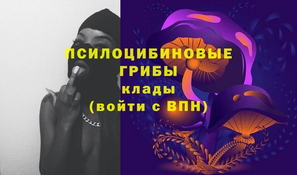 сатива Алексин