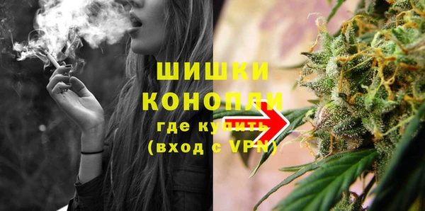шишки Алексеевка