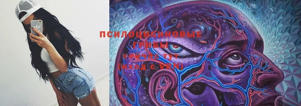сатива Алексин