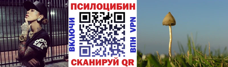 Галлюциногенные грибы Magic Shrooms продажа наркотиков Жуков